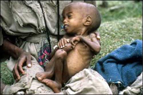 starving children in africa. While children starve