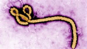 ebola 2